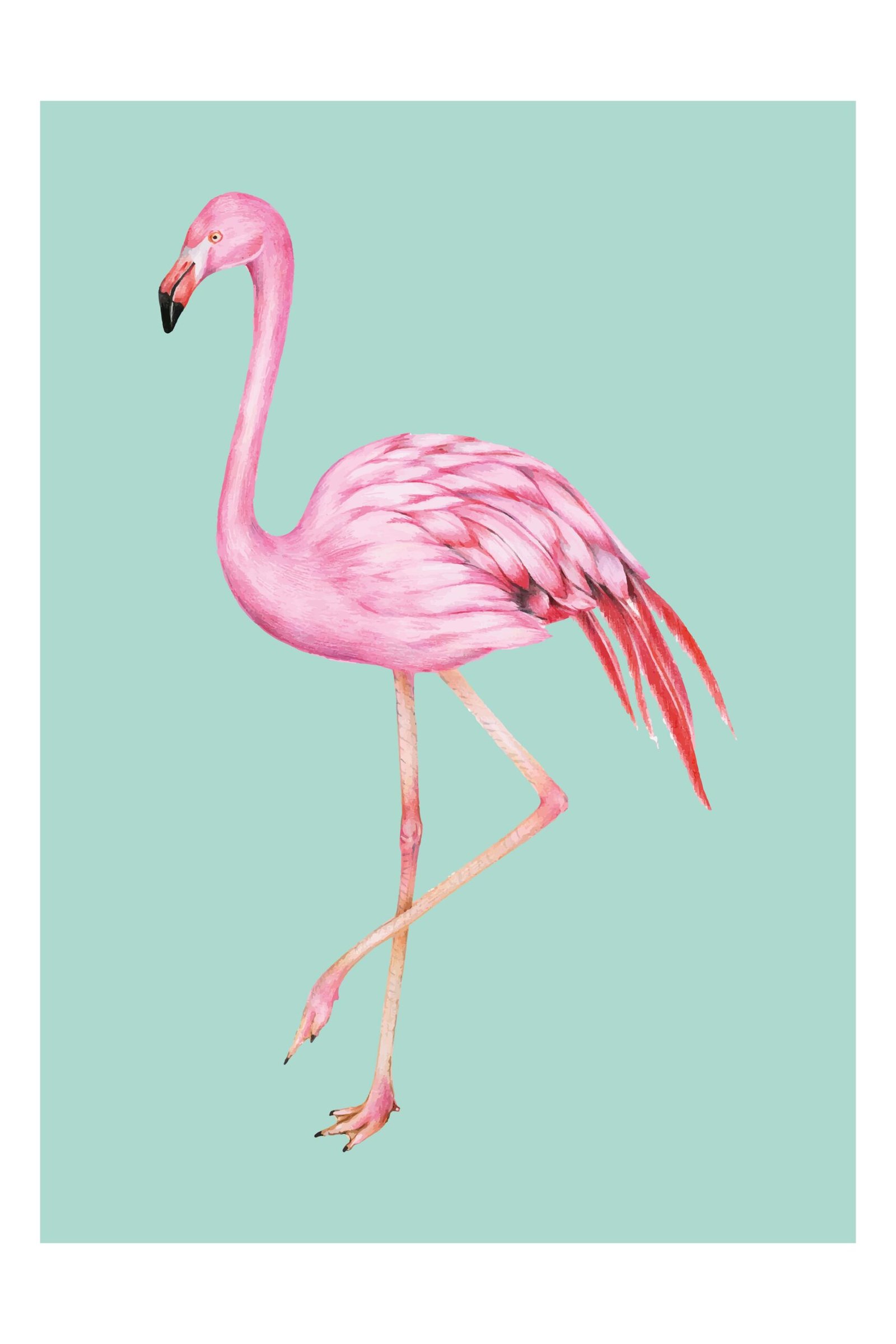 Rozā flamingo – foto uz alumīnija